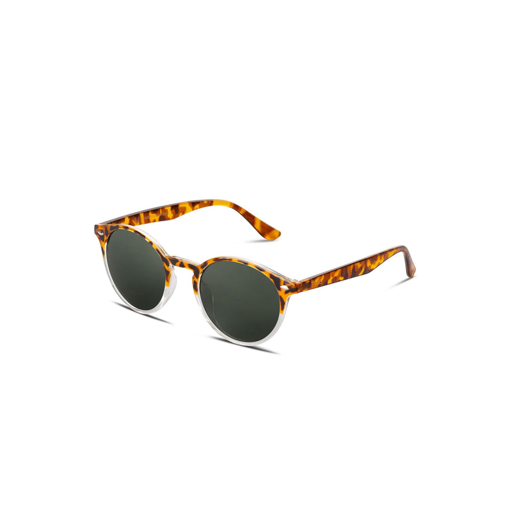 Twig POLLOCK POL12 Occhiali da Sole Unisex Marrone Verde
