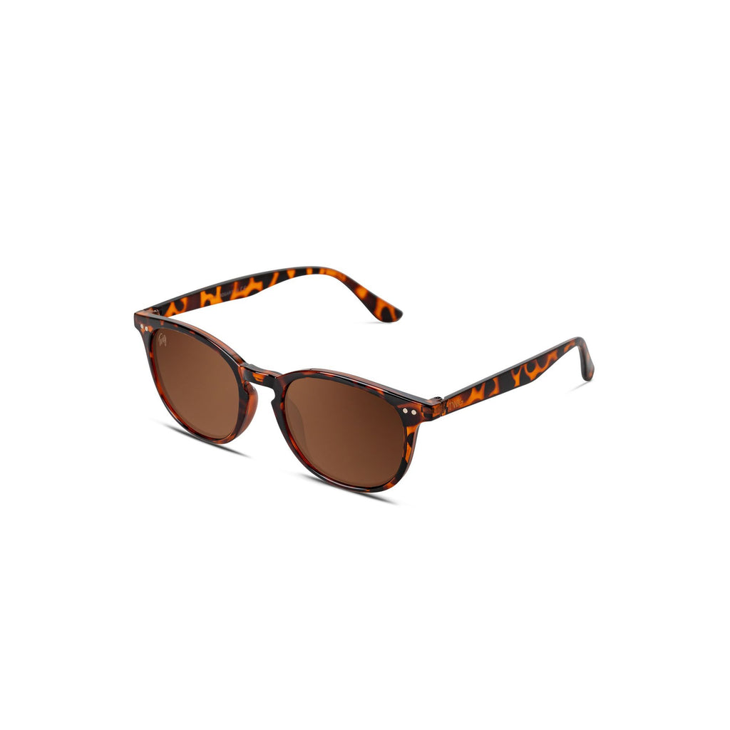 Twig BOGART BOG03 Occhiali da Sole Unisex Marrone