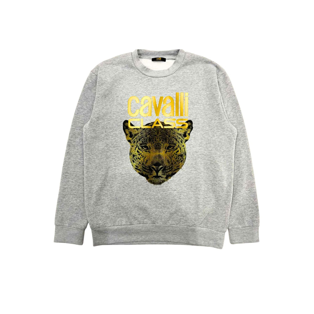 Cavalli Class QXT66BCF062 Felpa Uomo Made in Italy Grigio - BeFashion.it