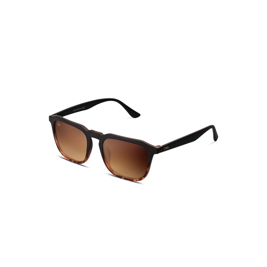 Twig ROTH RTH03 Occhiali da Sole Unisex Marrone