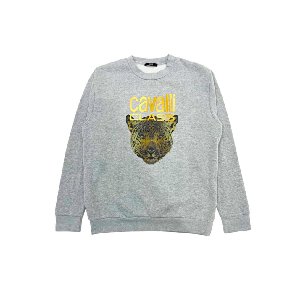 Cavalli Class QXT67ZCF062 Felpa Donna Made in Italy Grigio - BeFashion.it
